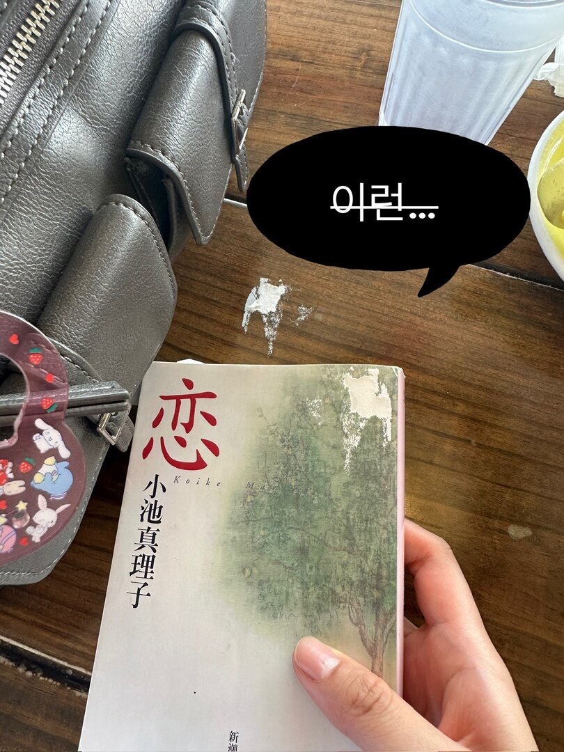 Dandelion Cafe torn book